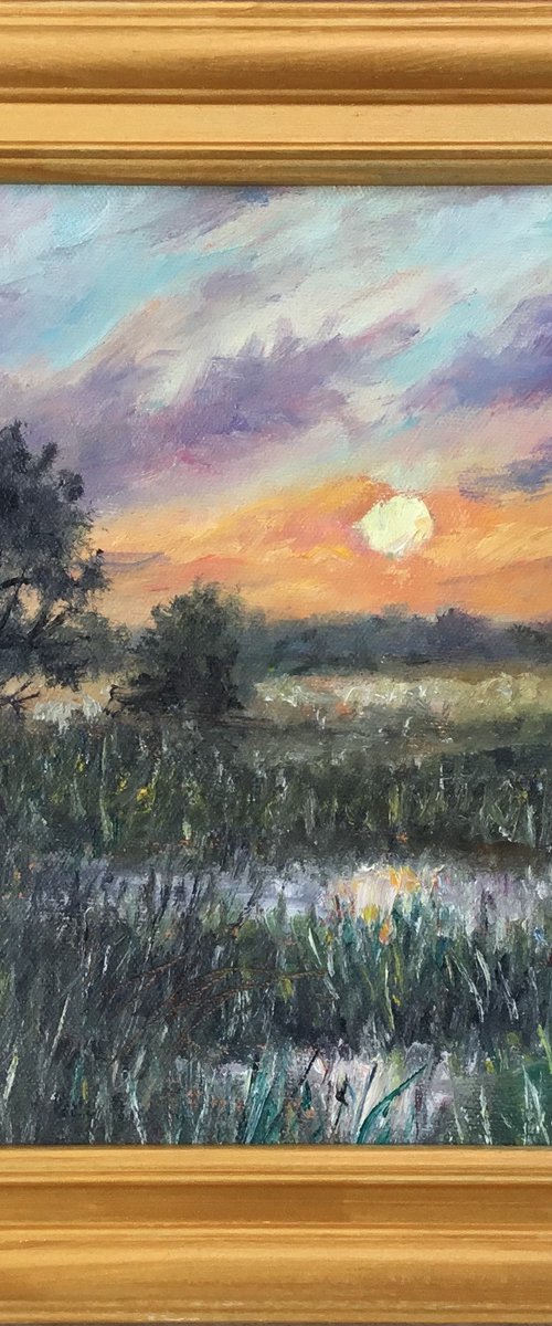 MARSH SUNDOWN by Kathleen McDermott