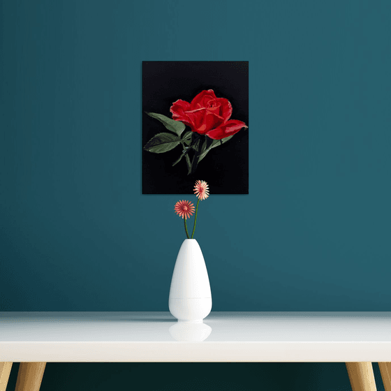 Crimson Study: Red Rose Oil on Gesso Board