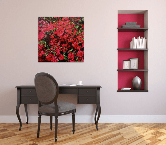 Bougainvillea de Gran Canaria