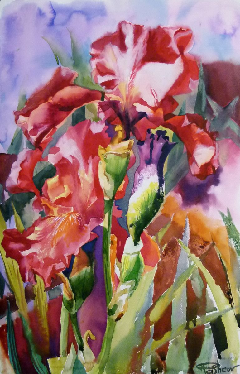 Red Irises#3 by Yuryy Pashkov
