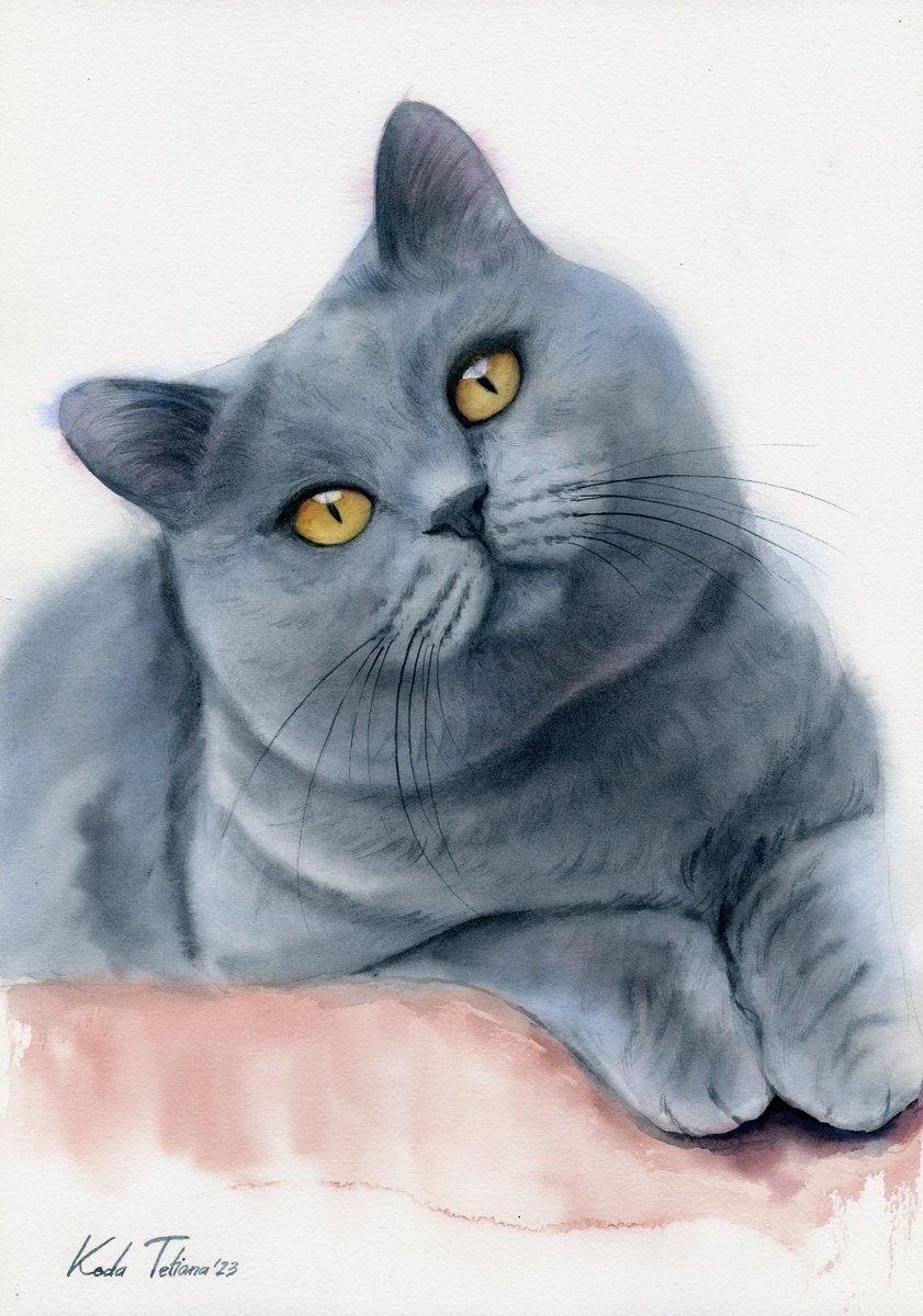 Photorealistic Animal Watercolour By Tetiana Koda, 11 X 16", Cat Portrait 28X40 Cm, Original Artwork
