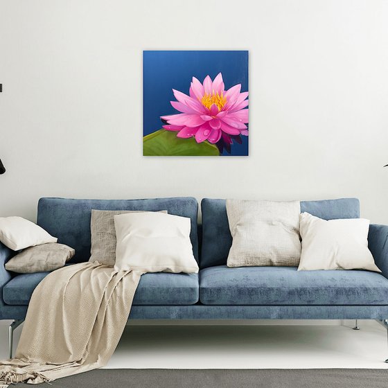 Shine. Water Lily