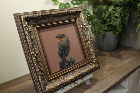 Morning Chorus Series - Red Robin, Bird Artwork, Animal Art Framed