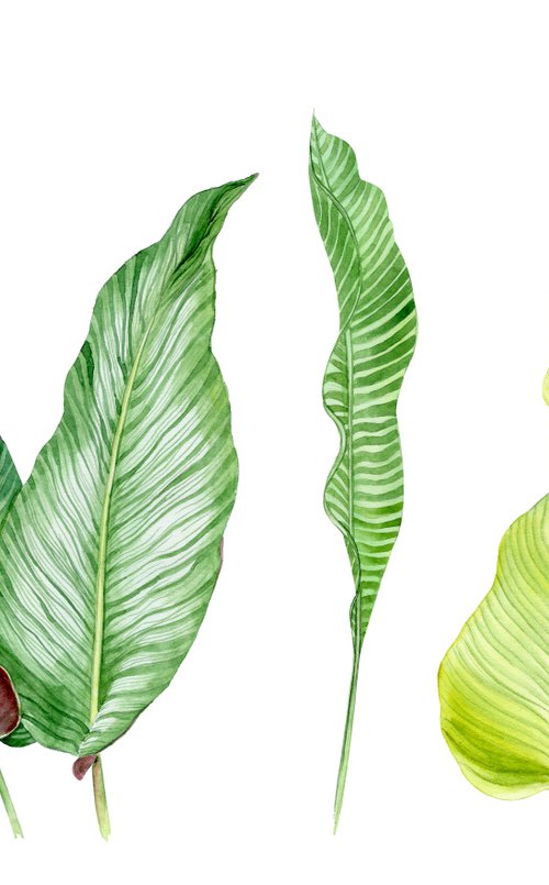Tropical Leaves by Olga Koelsch