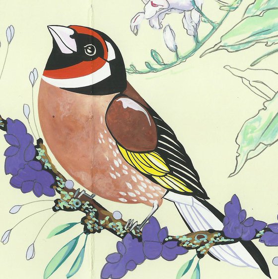 Goldfinch and Flowers