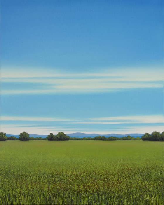 Lush Grass - Blue Sky Landscape