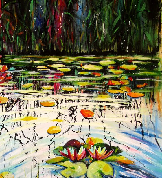 Water mirror and water lilies
