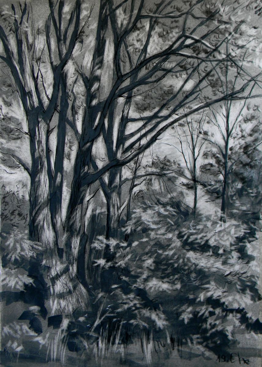 Oaks on the edge of the forest by Liudmyla Chemodanova