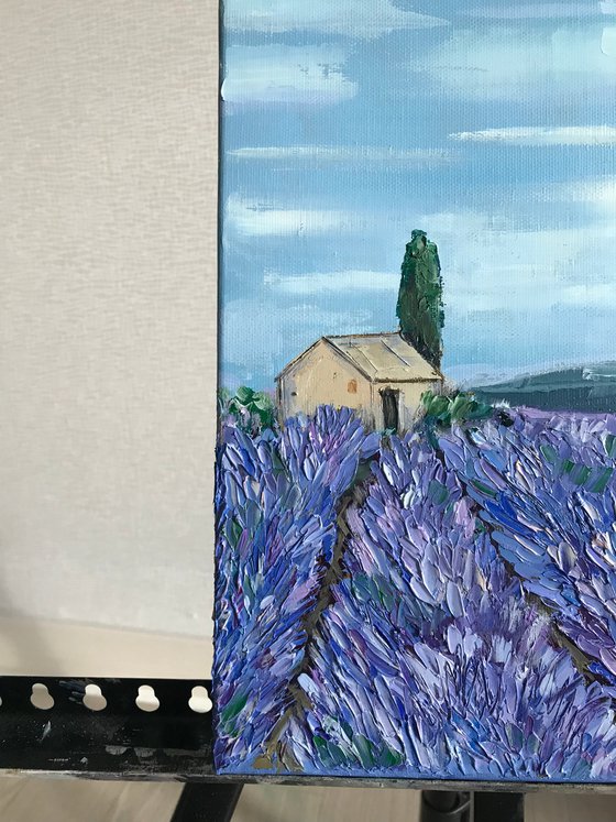 Provence Lavender field 100%Original Oil Painting