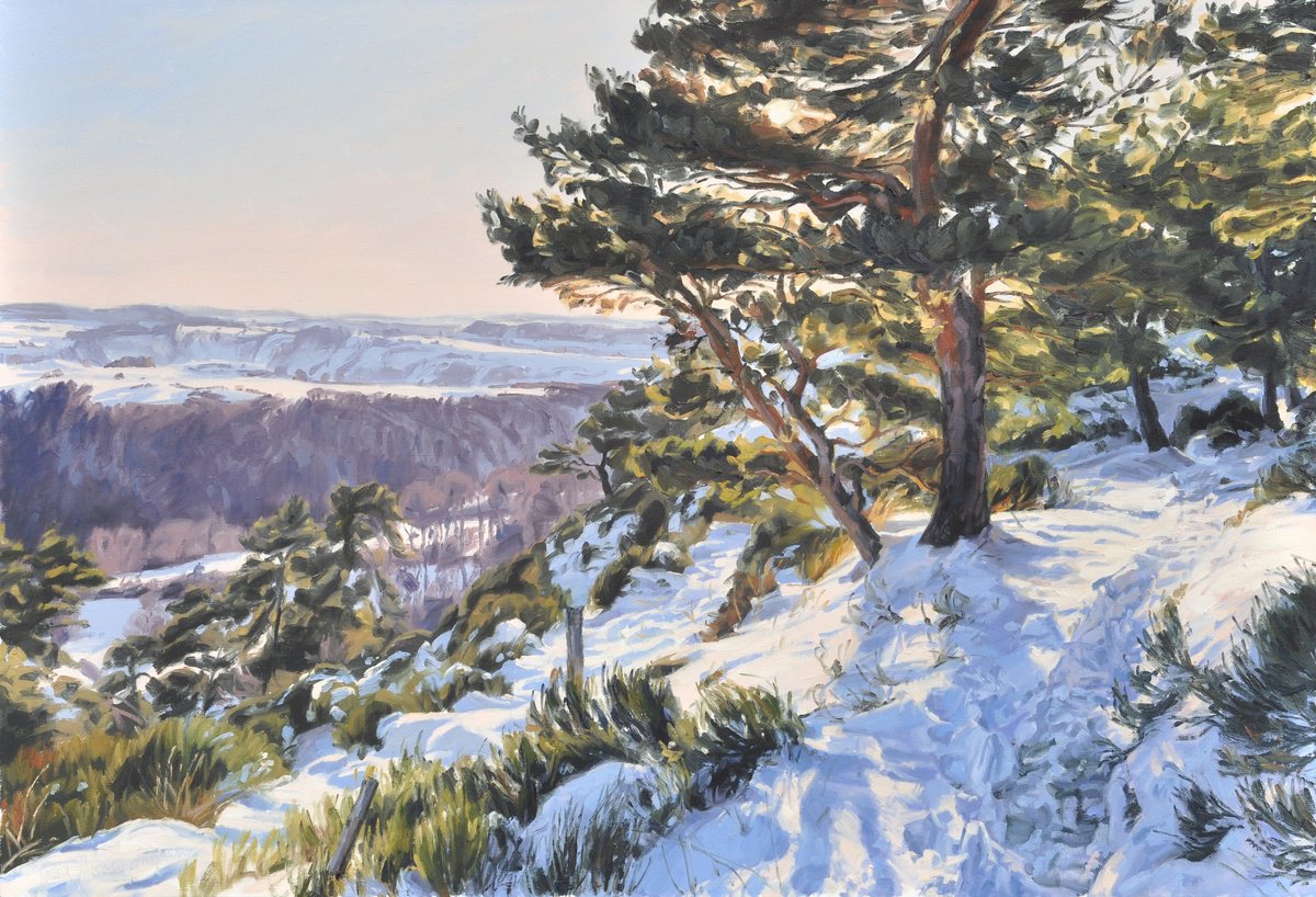 Impressionistic Landscape Oil Painting By Anne Baudequin, 51 X 35, Sunset, Snow-Capped Mountains, Original Artwork