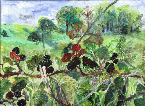 Bramble picking time by Sandra Fisher