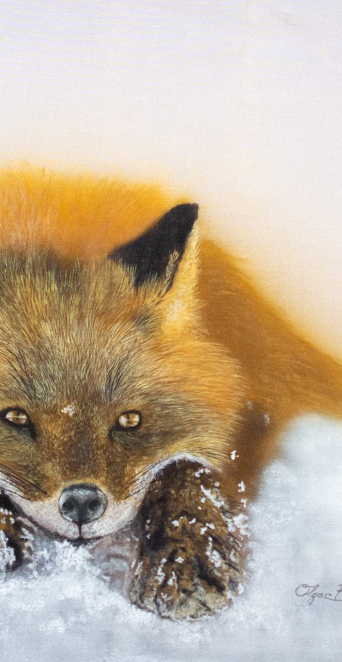 Fox by Olga Belova