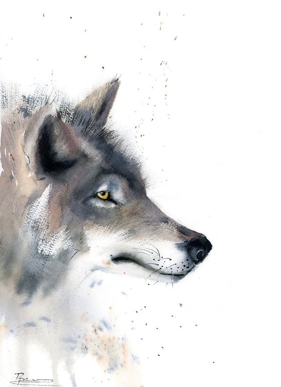 Wolf portrait