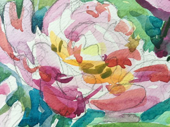 Paeonia lactiflora watercolor painting. Pink peonies in the garden.