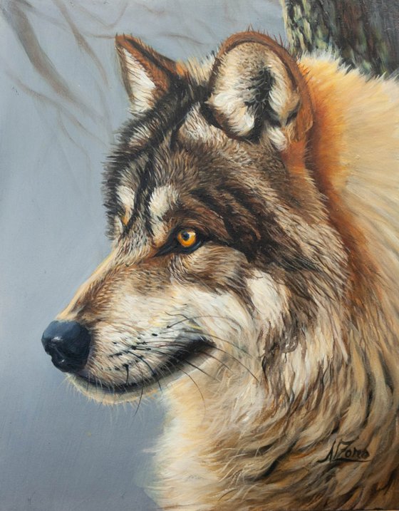 "Wild Gaze" — Grey Wolf Portrait