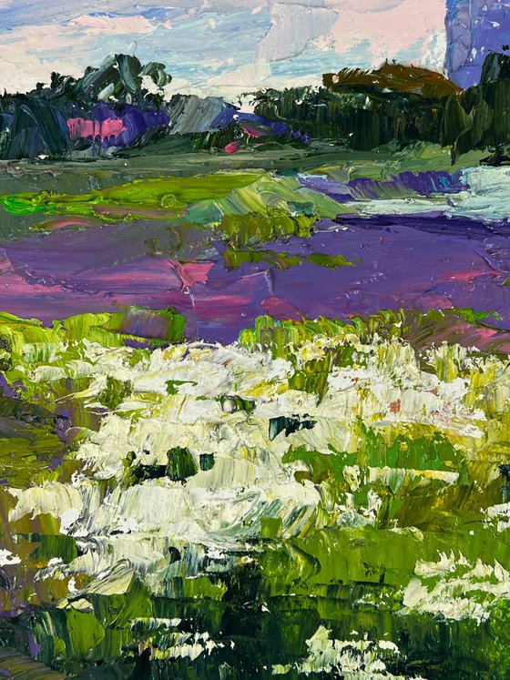 Meadows of Growing Flowers