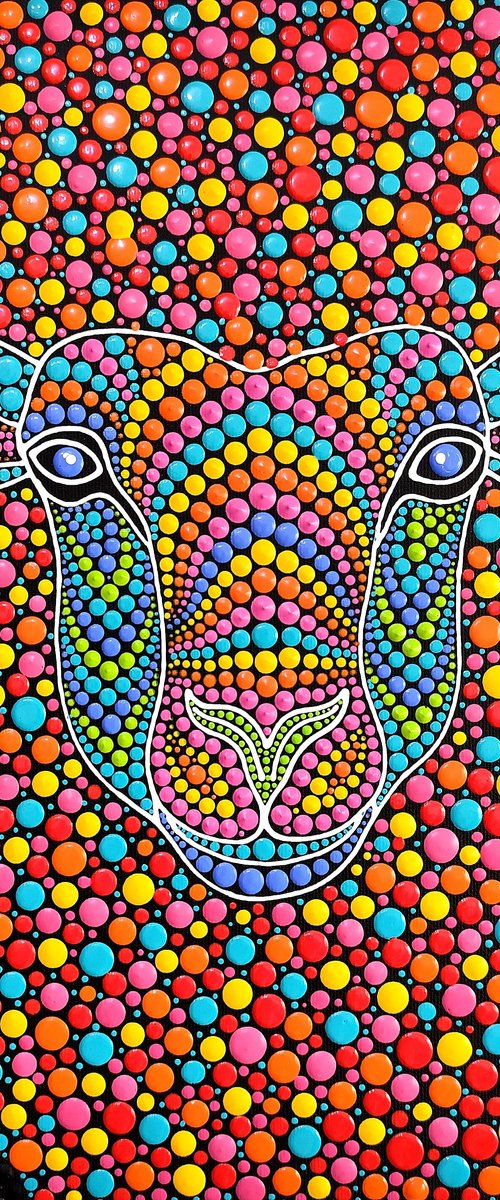 Rainbow Wool by Oxana Lazari