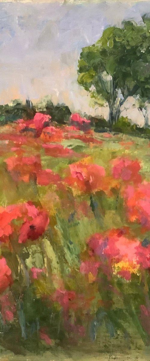 Poppies by Lia Matevosyan Haselton