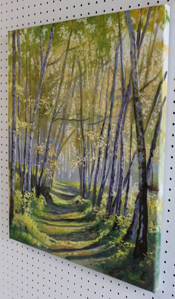 Path Through the Birches