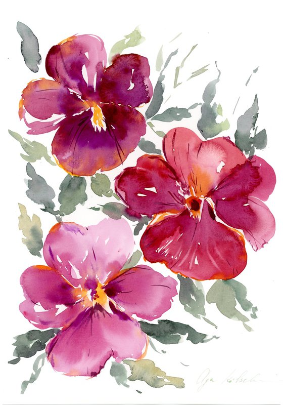 Dark red Pansies