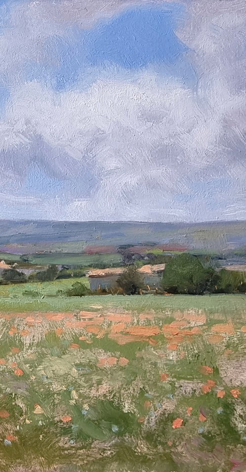 Poppies at Forcalquier by Pascal Giroud