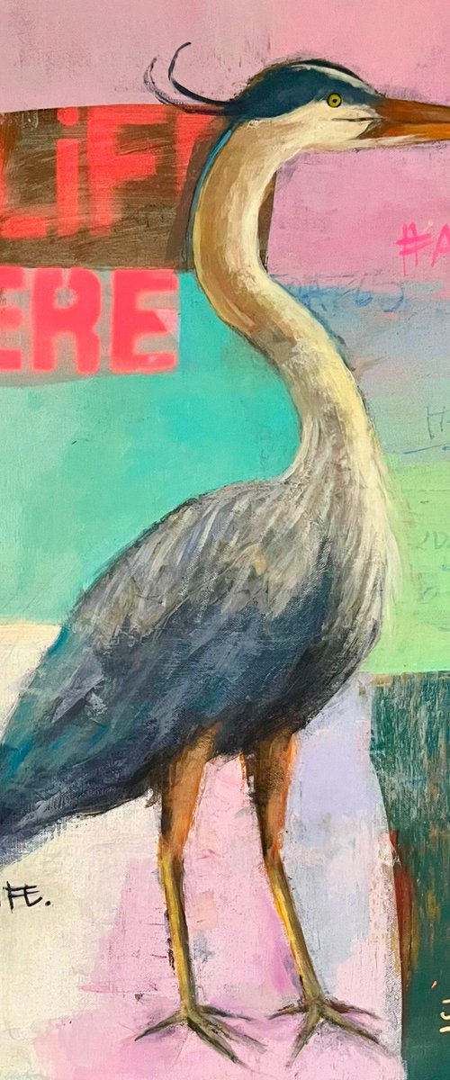 Great Blue Heron by Joejene C. Santos