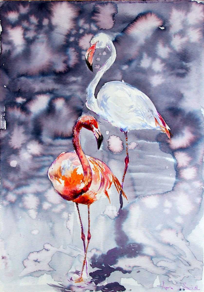 Birds / Flamingos / Watercolour by Anna Sidi-Yacoub