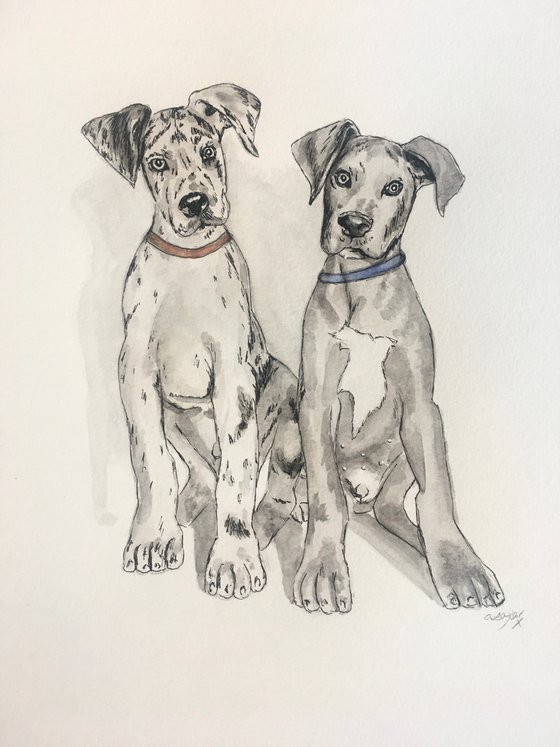 Great Dane painting