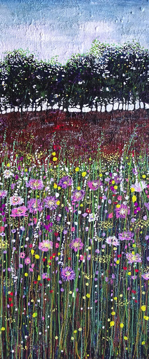 Wildflower Meadow  12 by Roz Edwards