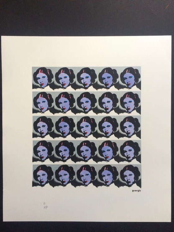 Star Warhol (2016 editions) Blueberry
