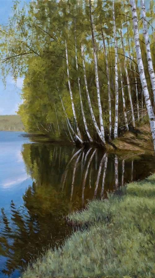 Vlasina Birches by Dejan Trajkovic