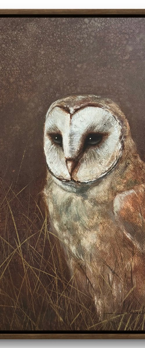 White #1 Owl by Alina Marsovna