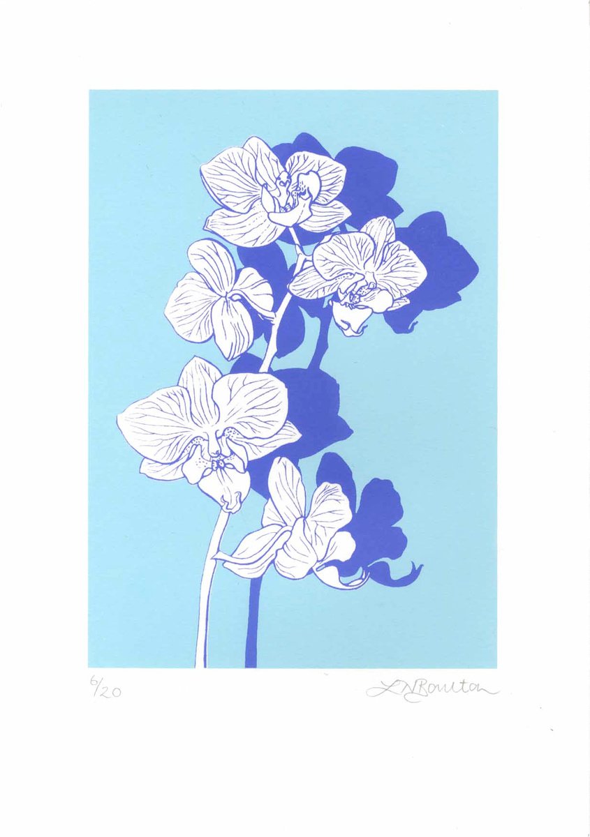 Illustrative Botanical Screenprint By Louise Boulton, 11 X 17", Orchid On Blue, Original Artwork