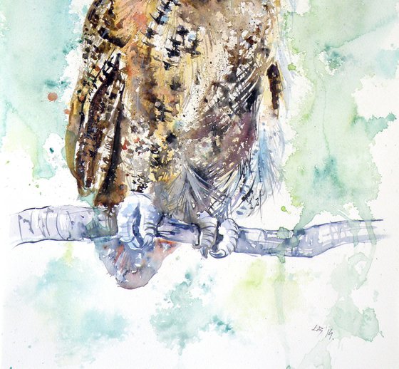 Owl