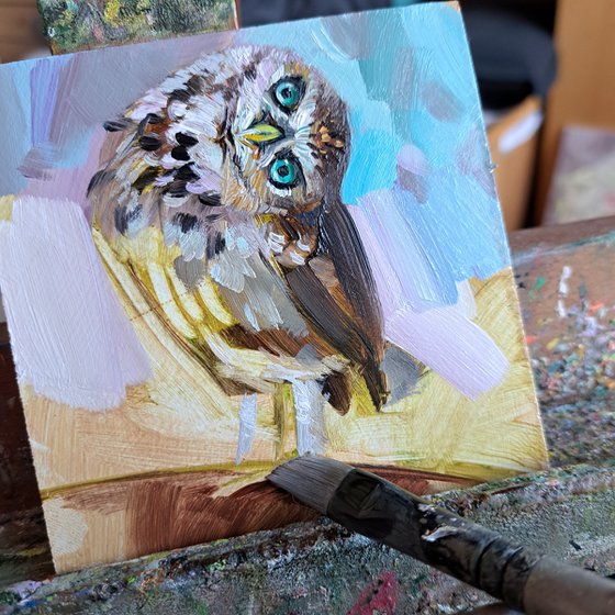 Owl bird painting