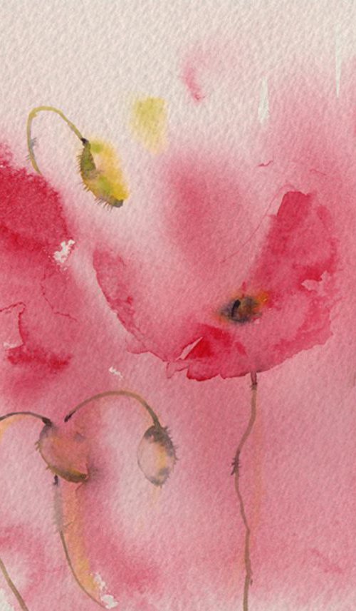 Poppy wishes by Anjana Cawdell