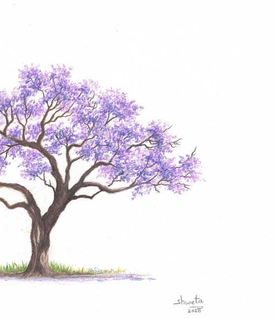 Purple blossoms