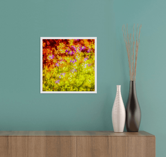 Summer Meadows #3. Limited Edition 1/25 12x12 inch Abstract Photographic Print.