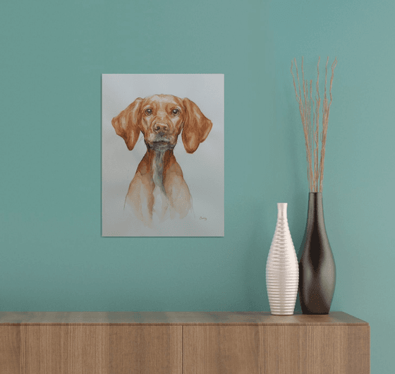 Good boy - dog portrait