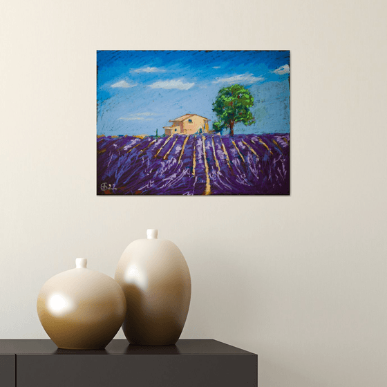 Lavender field in Provence. Medium oil pastel drawing bright colors France