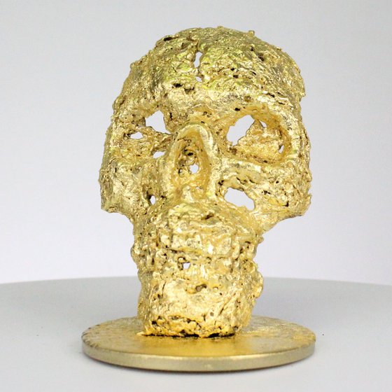 Skull CLVII - Skull artwork steel gold leaf