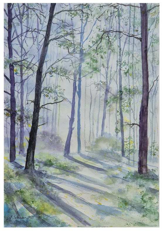 Morning Light Through the Forest