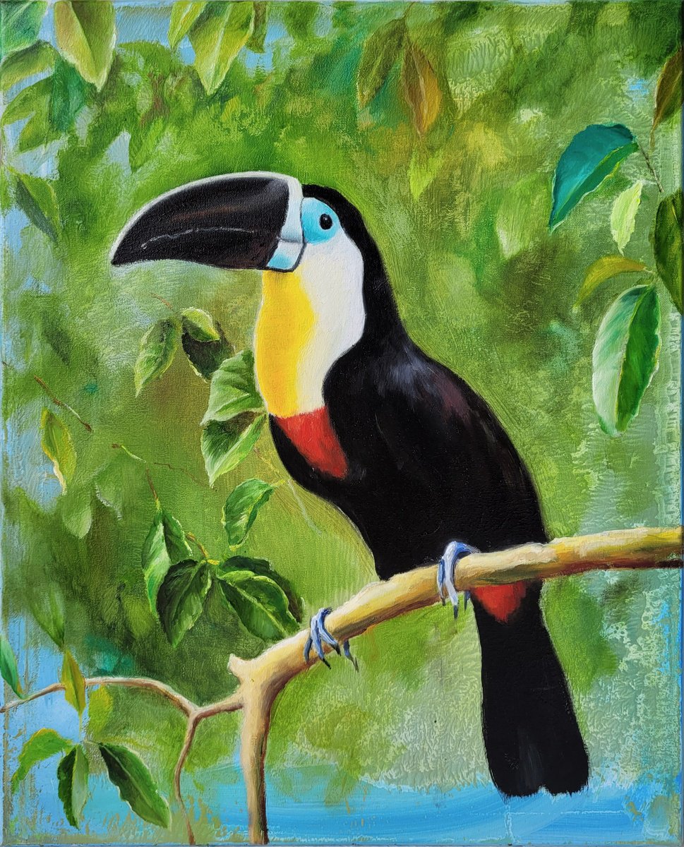 Black-billed toucan by Lisa Braun