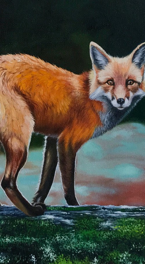 Fox by Kakajan Charyyev