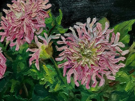 DAHLIAS