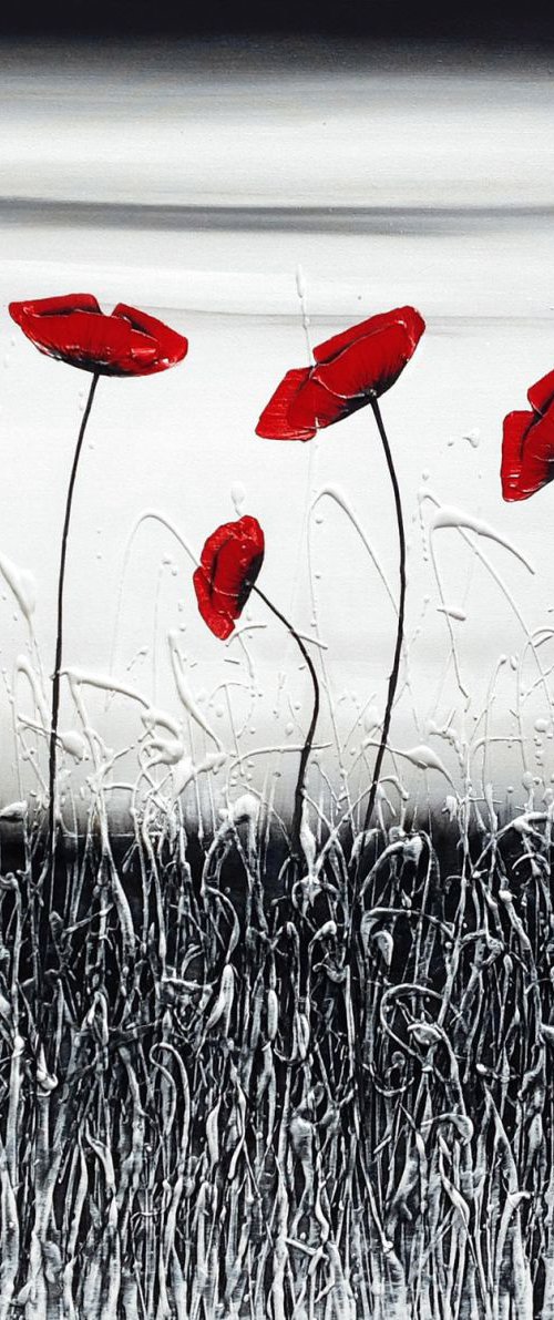 Poppy Dance by Carol Wood