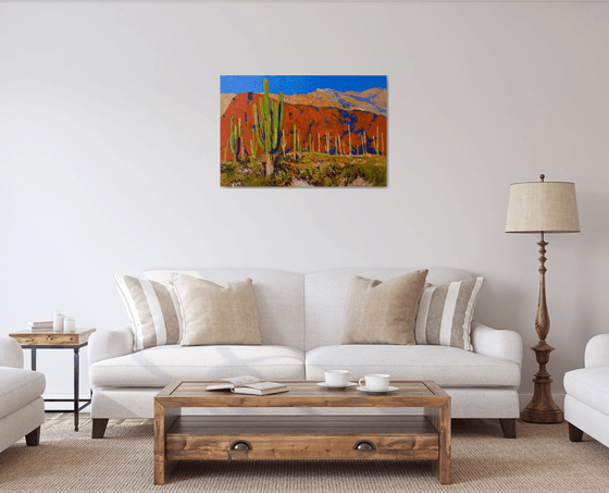 Saguaros and Desert Colors