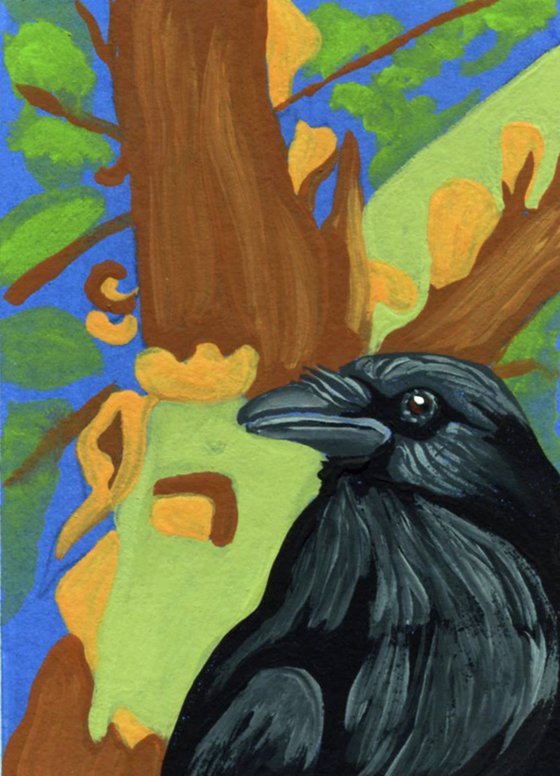 ACEO ATC Original Miniature Painting Arbutus Tree Crow Raven Bird Wildlife Art-Carla Smale