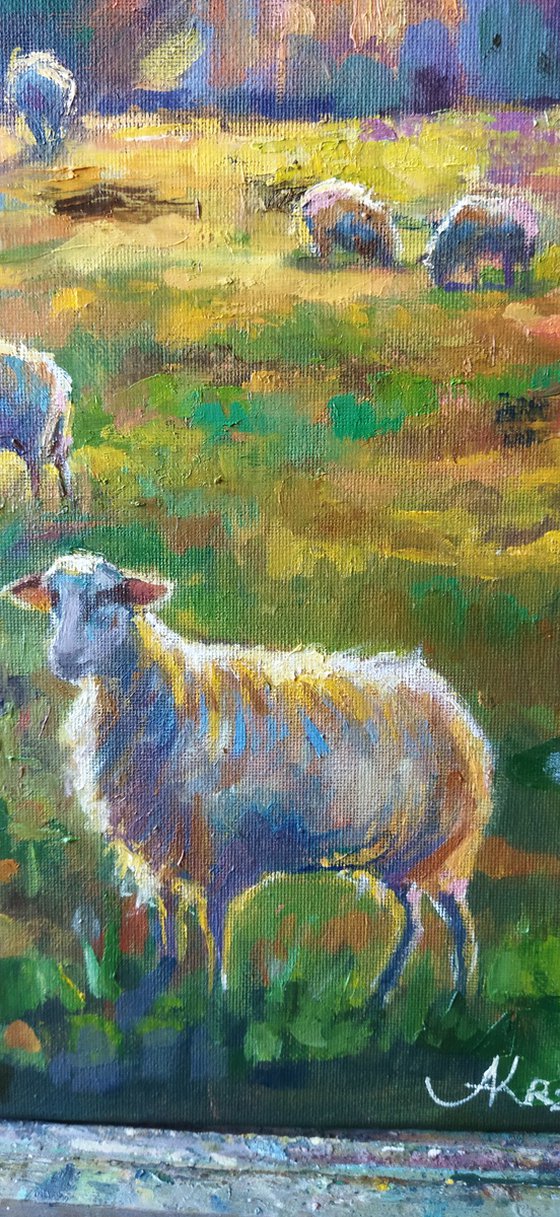 Sunlit Meadow with Sheep
