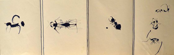 Study of insects, accordion 50x15 cm